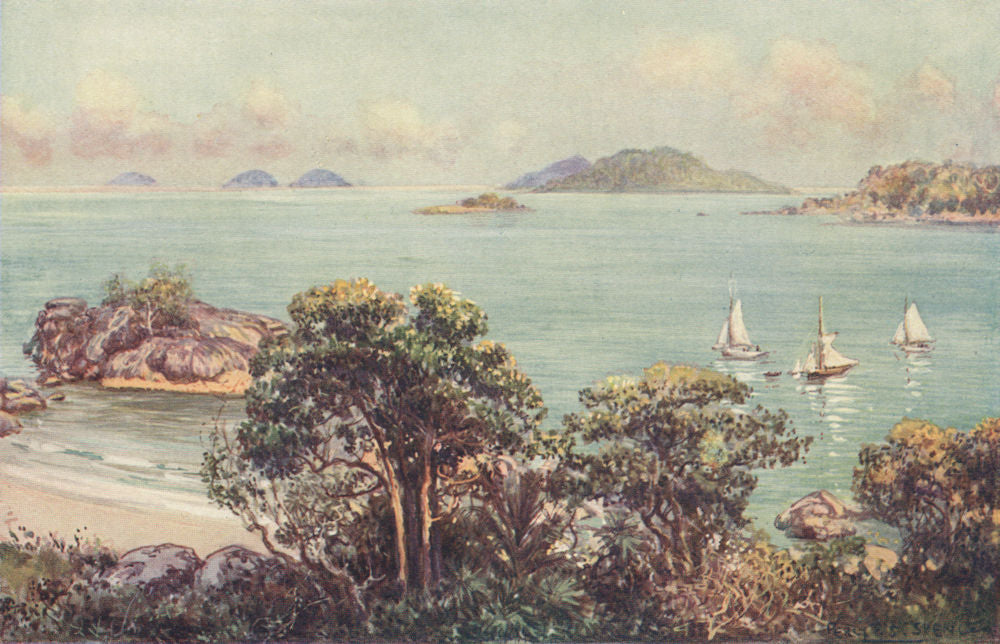 'Hinchinbrook Passage, North Queensland' by Percy Spence. Australia 1910 print